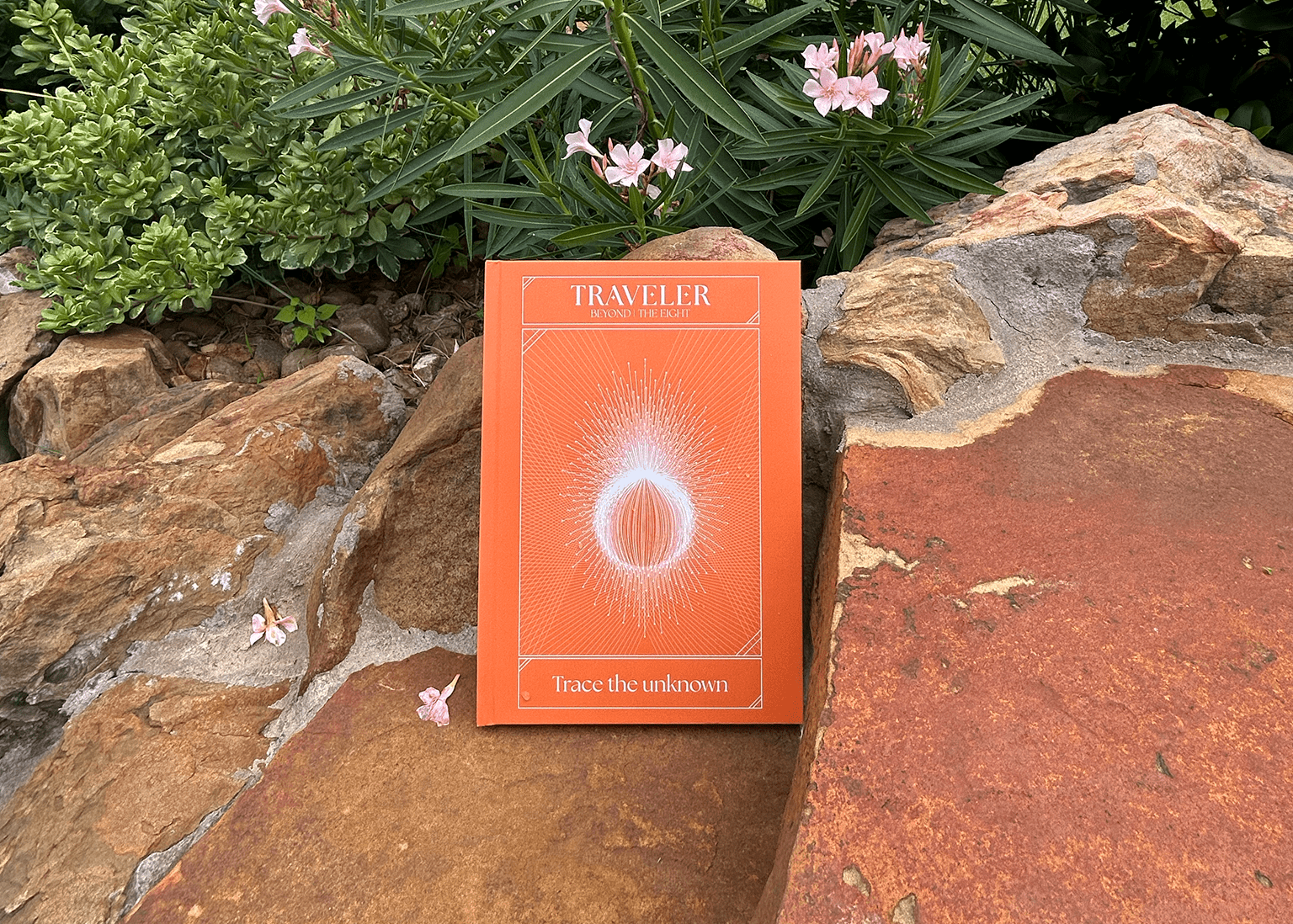 The Power of Journaling: Self-Care, Gratitude & Manifestation in Everyday Life - The Ei8ht