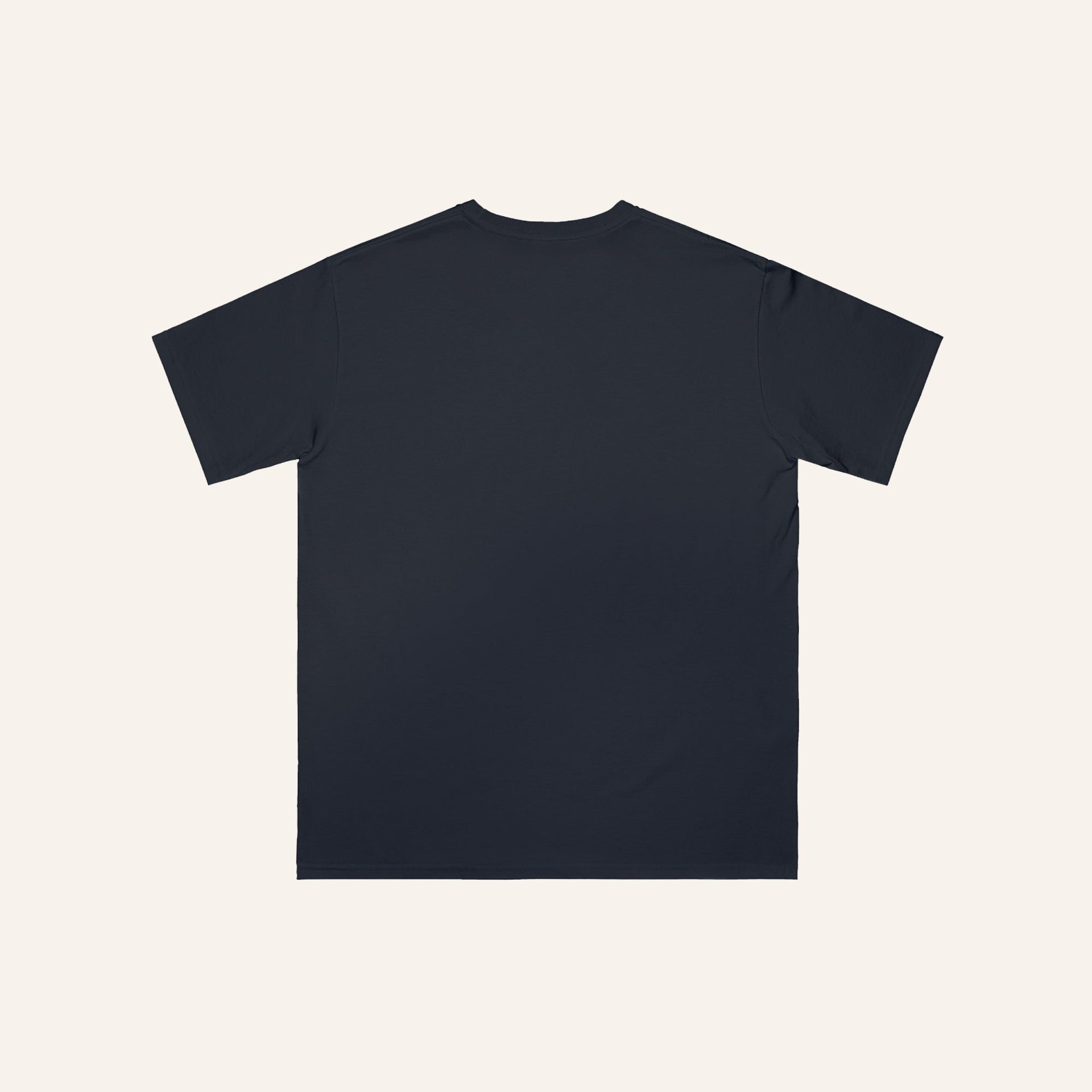 Back view of pacific blue organic cotton t-shirt with no back print, minimalist apparel by The Ei8ht - part of the Simplicity | Aligned design.